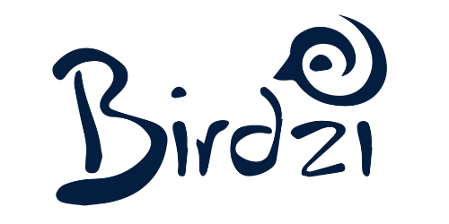 BIrdzi Logo